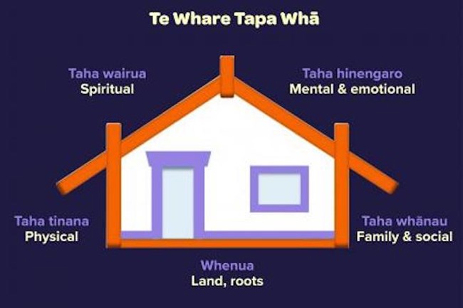 te-whare-tapa-wha